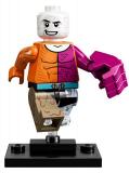 71026-metamorpho
